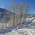 Gaestehaus-pension Barbara 3* Andelsbuch