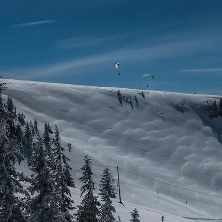 Gasthof Gästehaus-pension Barbara 3*