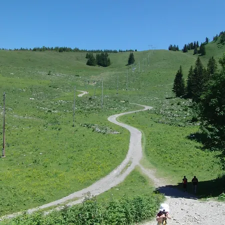 Gaestehaus-pension Barbara