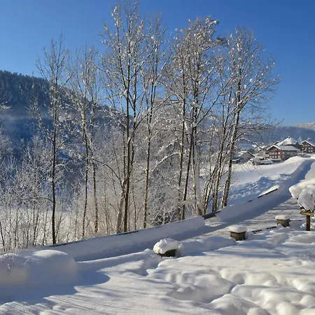 Gaestehaus-pension Barbara 3* Andelsbuch