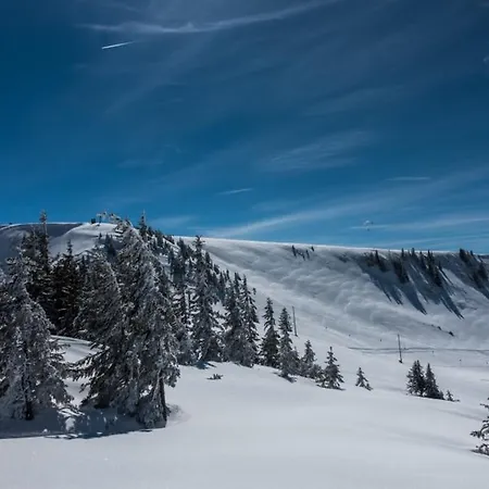 Gästehaus-pension Barbara