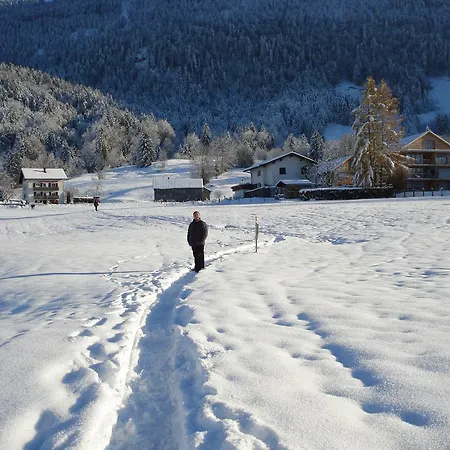 Gaestehaus-pension Barbara 3* Andelsbuch