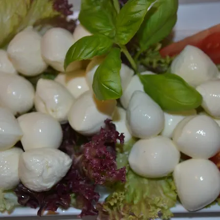 Penzion Gaestehaus-pension Barbara