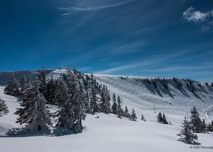 Gästehaus-pension Barbara