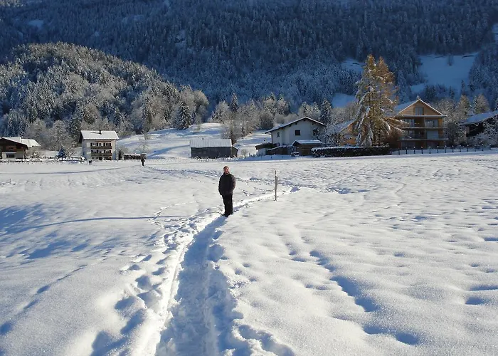 Gaestehaus-pension Barbara 3* Andelsbuch