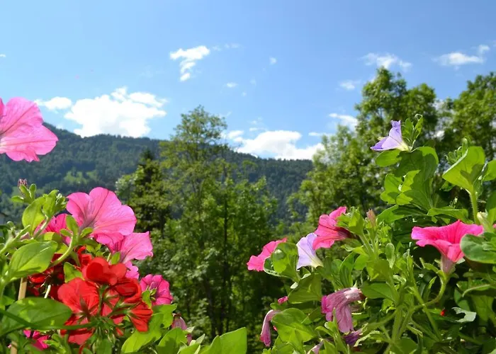 Gaestehaus-pension Barbara Pensjonat